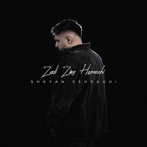 Cover artwork for Zadi Zire Hamechi by Shayan Eshraghi